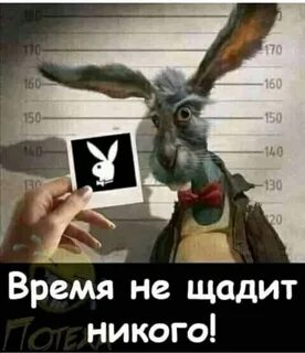 Не щадит никого как пишется
