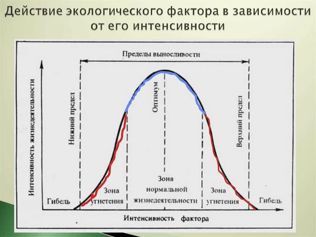 Действие экологических факторов. Воздействие экологических факторов. Экологические факторы экосистемы. Влияние экологических факторов. Реакция организма на изменения окружающей среды