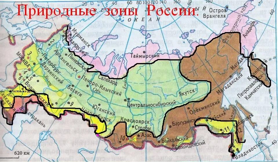 Карта тайги россии