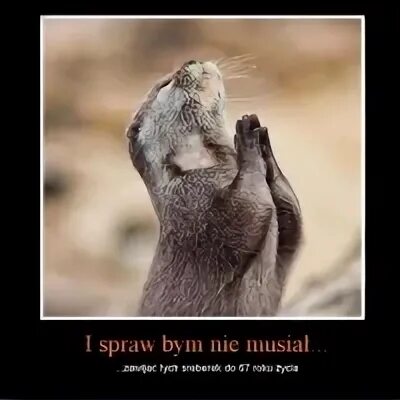 Боже убей их. Про придурков высказывания. Господи избавь мир от идиотов еноты. Боже придурок. Люди вы дебилы.