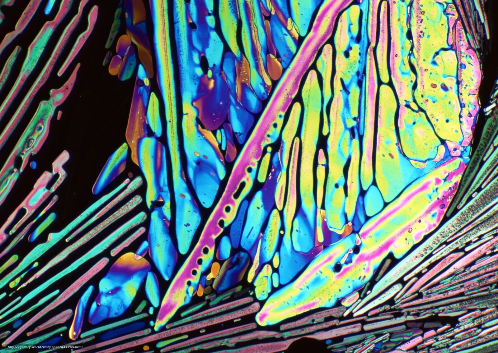 Кристаллы под микроскопом. Краска под микроскопом. Жидкости под микроскопом. Картина под микроскопом.