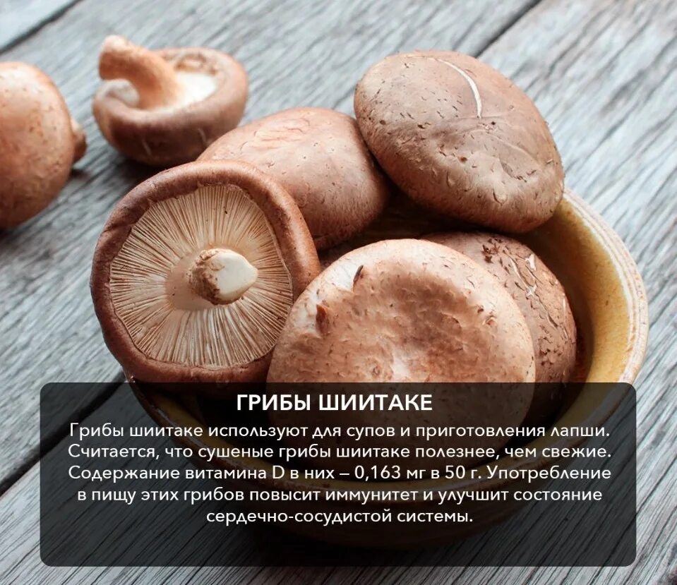 Гриб шиитаке. Грибы шиитаке полезны?. Шиитаке витамин. Характеристика гриба шиитаке.