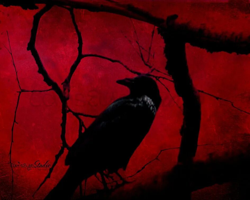 Katatonia Raven. Ворон арт. Мрачные птицы. Черный ворон с красными глазами. Night crows вороны