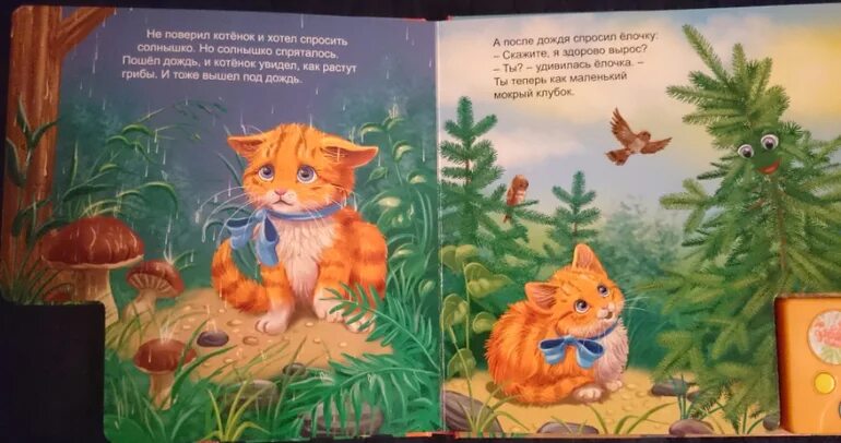 Иллюстрации к рассказу котенок л. Котёнок фиалка или коробка с сюрпризом холли вебб книга. Котёнок усатик или отважное сердце холли вебб книга. Глупый котенок сказка. Котёнок пушинка, или рождественское чудо.