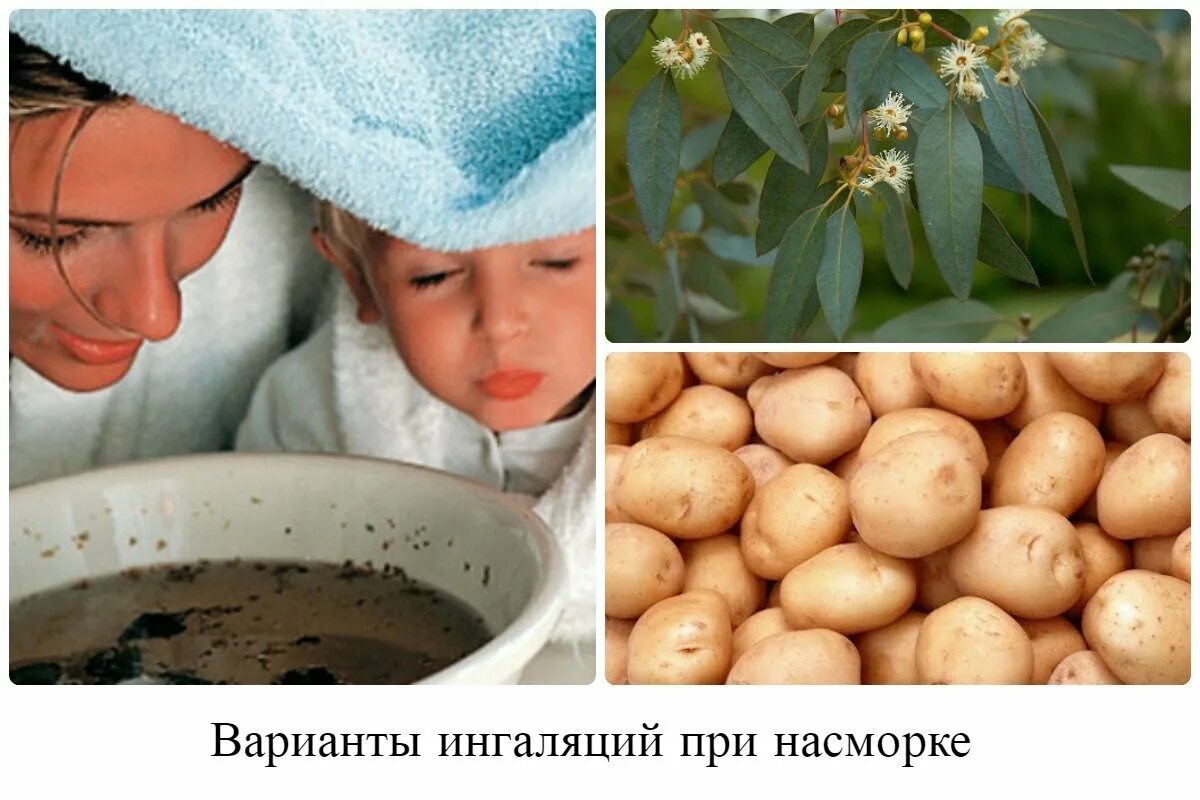 Дышать над картошкой при насморке детям. Картофель в медицине. картофель в народной медицине. дышать над картошкой. ингаляция картошкой.