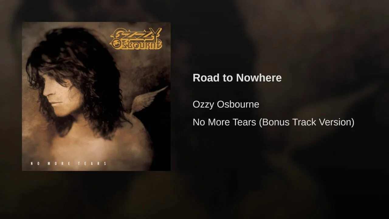No more tears текст. Hellraiser Ozzy Osbourne. No more tears Оззи Осборн. Hellraiser Ozzy Osbourne Motorhead. Ozzy Osbourne no more tears 1991.