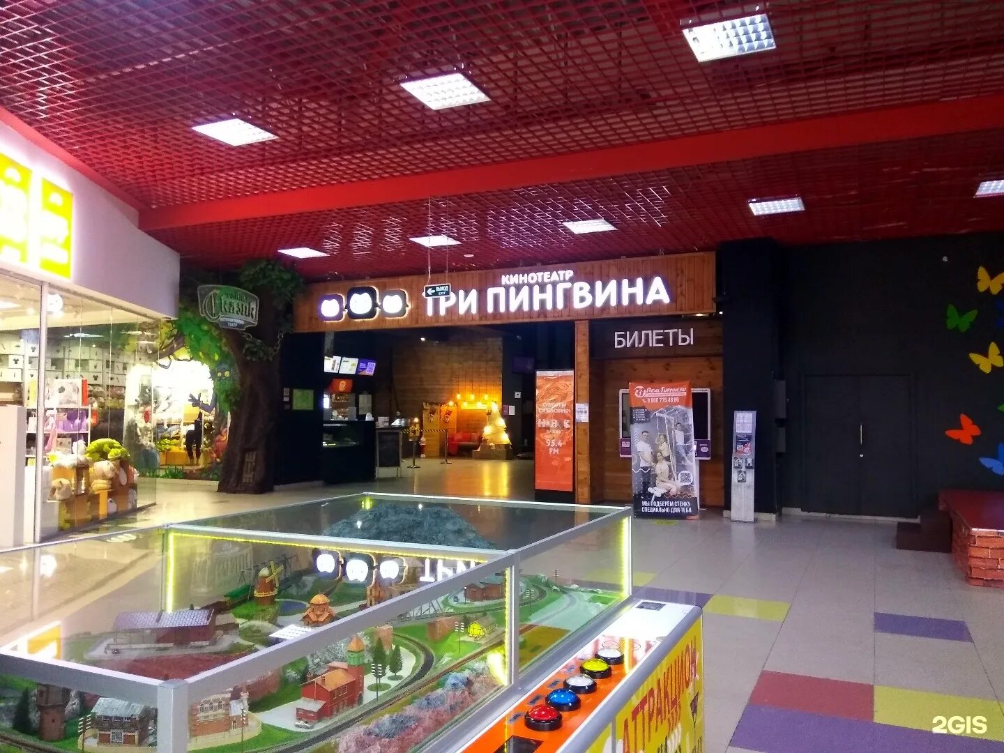 Три пингвина чебоксары мадагаскар. Три пингвина чебоксары вип зал. Мадагаскар чебоксары кинотеатр. Мадагаскар чебоксары кинотеатр три пингвина. Кинотеатр мадагаскар тольятти.