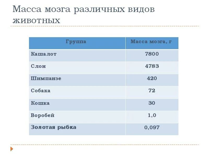 Сколько весил мозг. Масса мозга. Вес мозга у разных народов. Таблица масса мозга. Объем мозга у разных рас.