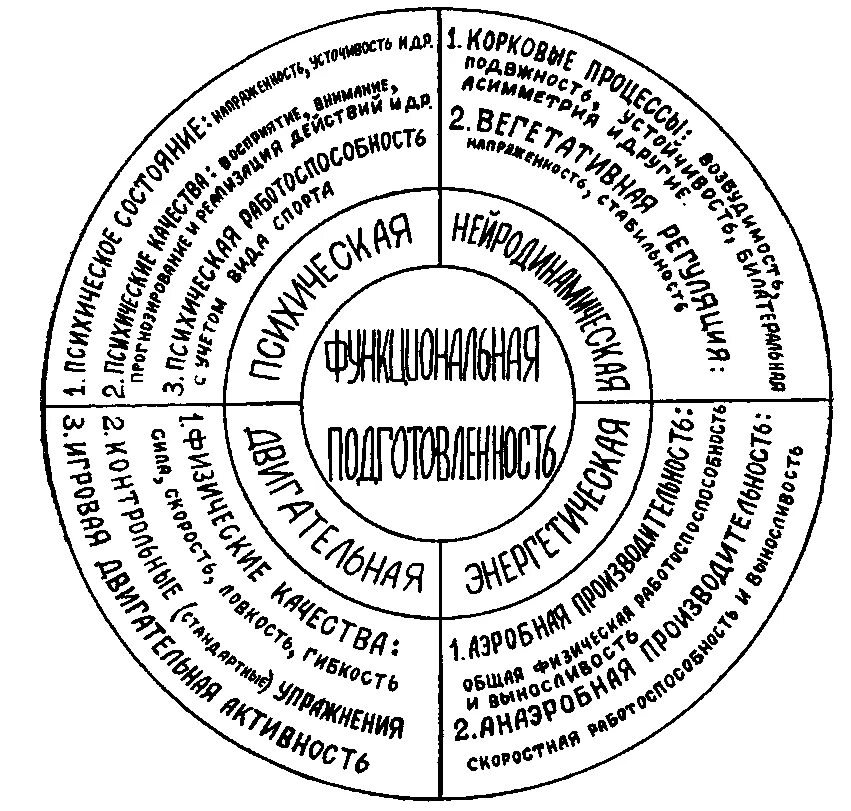 Физическая и функциональная подготовка. Модель подготовки спортсмена. Функциональная подготовленность это. Структура функциональной подготовки. Структура функциональной подготовки.