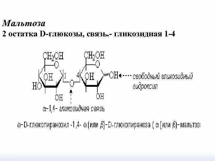 Связь 4 гликозидная. 1-4 Гликозидная связь Глюкоза. Альфа лактоза Тип гликозидной связи. Мальтоза Тип гликозидной связи. Мальтаз гликозидная связь.