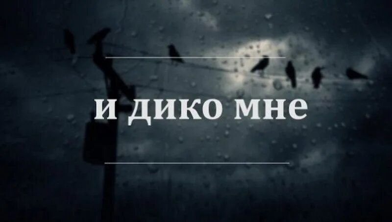 мем с бутылкой за столом. лучший путь к успеху это влюбиться в то что делаешь. мем спился. я спился. ты разочаровательна.