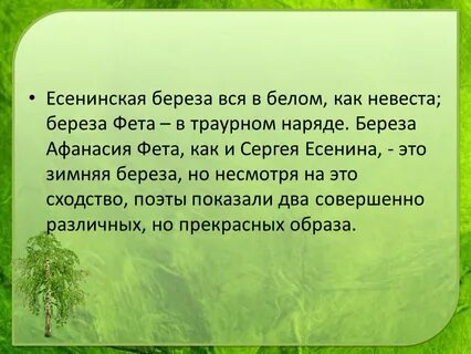 Топонимика это наука