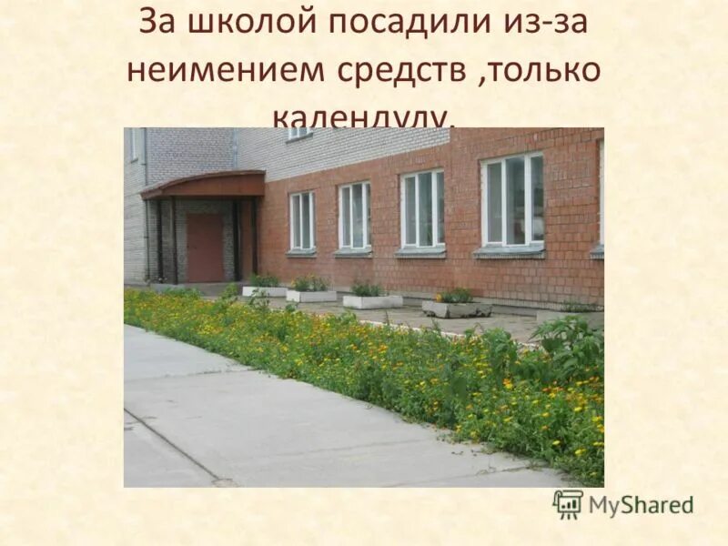 директор школы посадили