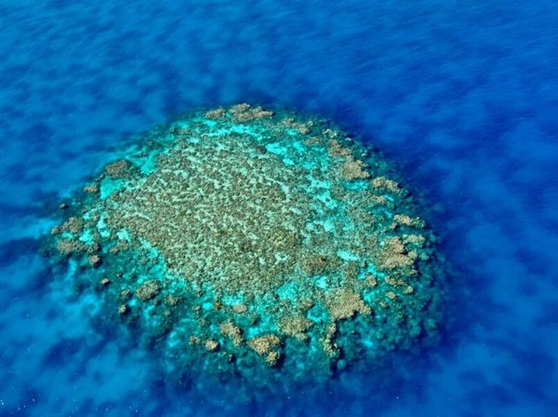 Коралловый риф протянувшийся вдоль восточной окраины материка. Атолл коралловый остров. Остров риф (Reef Island). Большой Барьерный риф. Острова барьерного рифа.