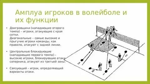 Волейбол позиции игроков и названия