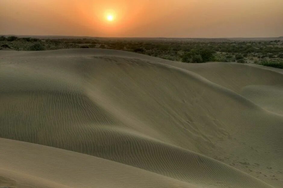 Пустыня Тхар. Пустыни Индии. Пакистан пустыня тар. Пустыня в Индии.