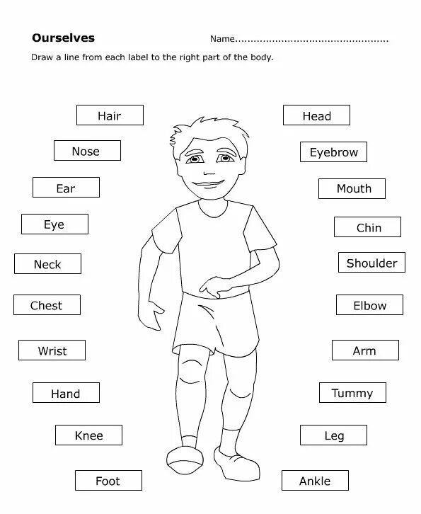 Задание человек для детей. Таблица частей тела на английском языке. Упражнения части тела на английском языке для детей. Части тела на английском для детей задания. Части тела на английском для дошкольников.