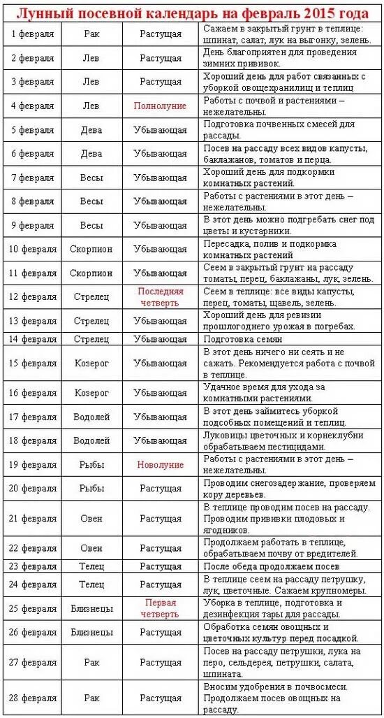 Благоприятные дни для посадки сельдерея. Лунный календарь на февраль посевной. Лунный посевной календарь Нафе. Лунный календарь на февраль для посадки рассады. Благоприятные дни для прививки.