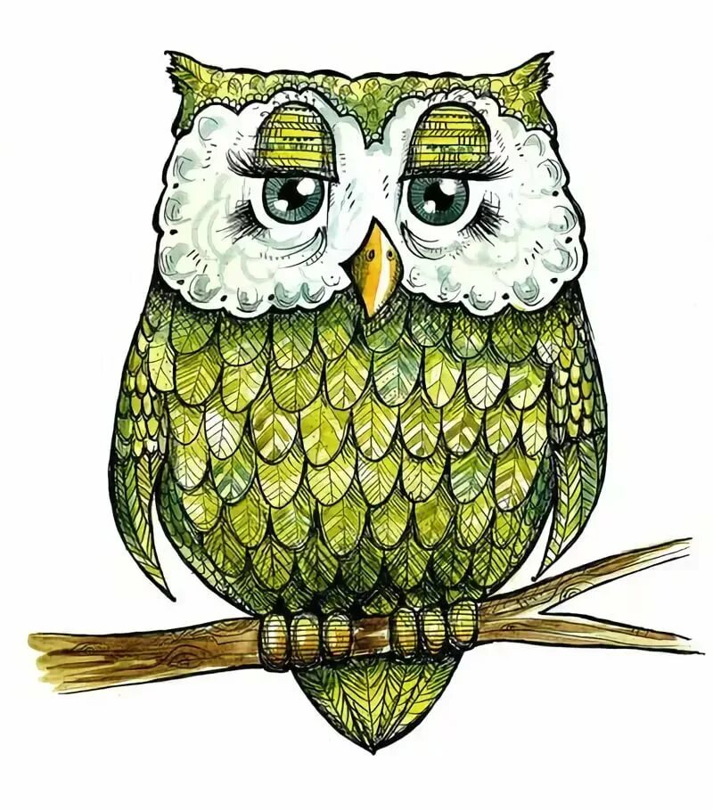 Сова мультяшный. Сова мультяшный. Совушка для детей. Сова картинка для детей. Совы мультяшные.