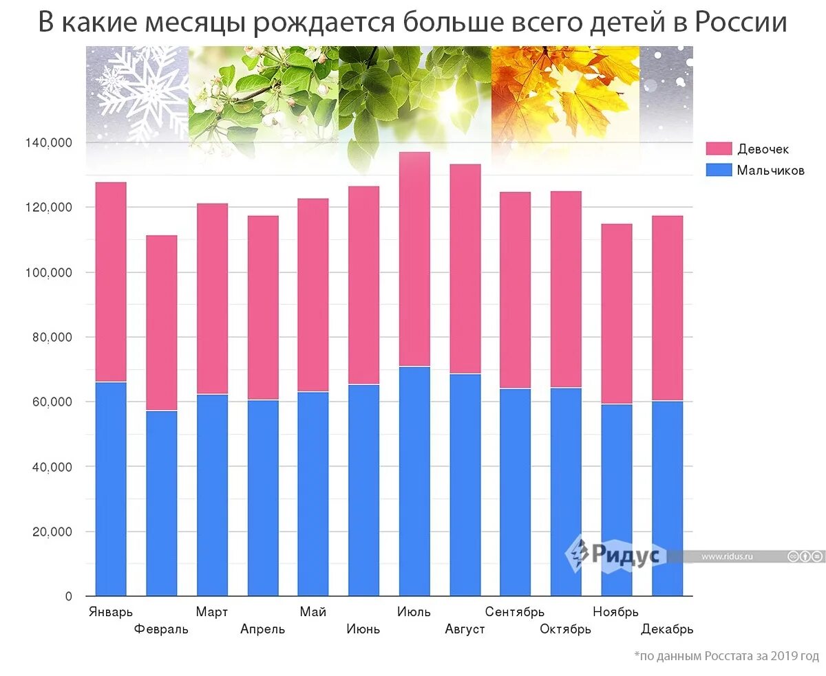 Статистика рождаемости поимесецам. Статистика рождаемости по временам года. Статистика рождений по месяцам. Статистика рождаемости по месяцам. Сколько родилось в феврале 2024