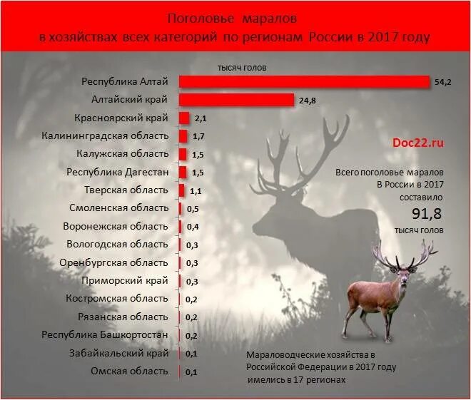 Олень условия обитания. Поголовье оленей в России. Поголовье северных оленей в России. Поголовье маралов. Численность оленей.