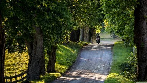 Along the country