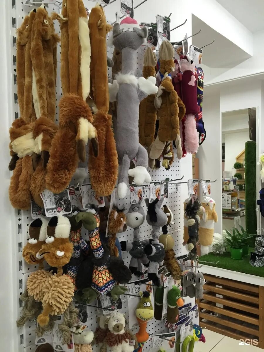 Магазин сова. Филин магазин канцелярии. Ресторан сова белгород. Магазин филин. Филин магазин.