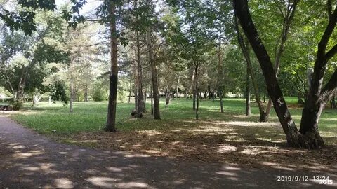 Посадка омск