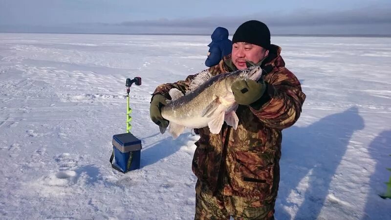 Рыбинск форум рыбаков. Рыбинское водохранилище рыбалка. Рыбинское водохранилище зимняя рыбалка. Зимняя рыбалка на Рыбинке. Рыбинское водохранилище рыбалка зимой.