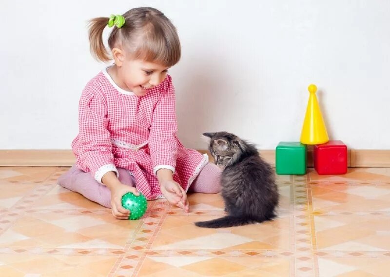 Котенок играет малыша. Ребенок играет с кошкой. Девочка играет с котенком. Ребенок играет с котенком. Дети играют с животными.