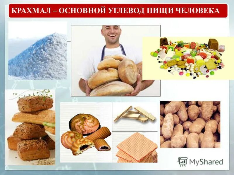 Углеводы презентация. Углеводы источник энергии для организма. Основные углеводы организма. Углеводы в питании человека. Основной углевод пищи человека.