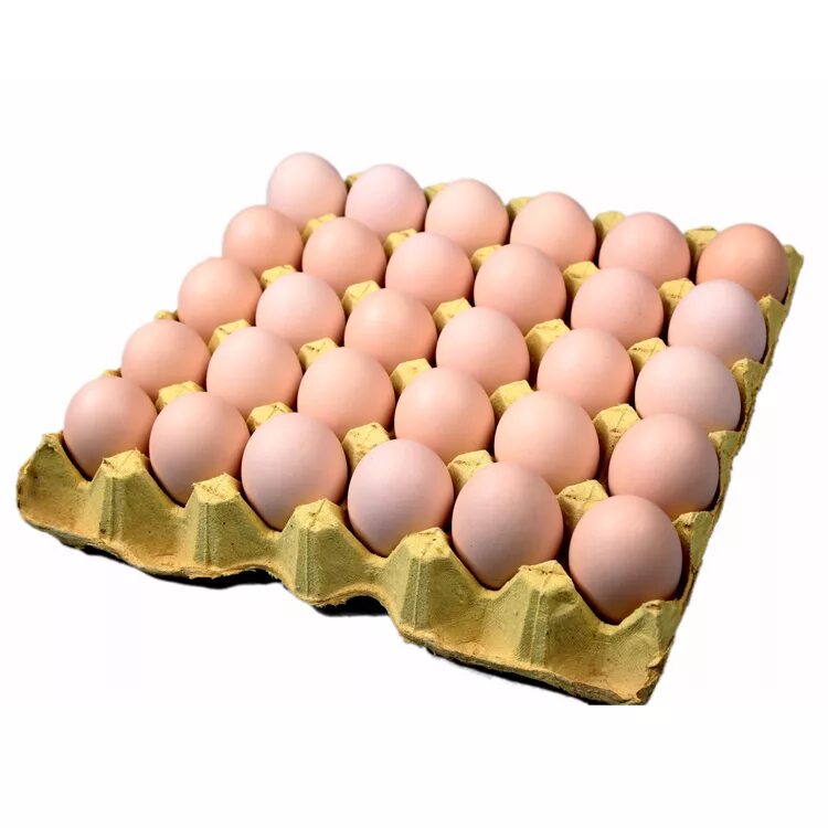 Сколько яиц в лотке. Лоток для яиц. Упаковка для яиц. Ячейка для яиц картонная. Картонная упаковка для яиц.