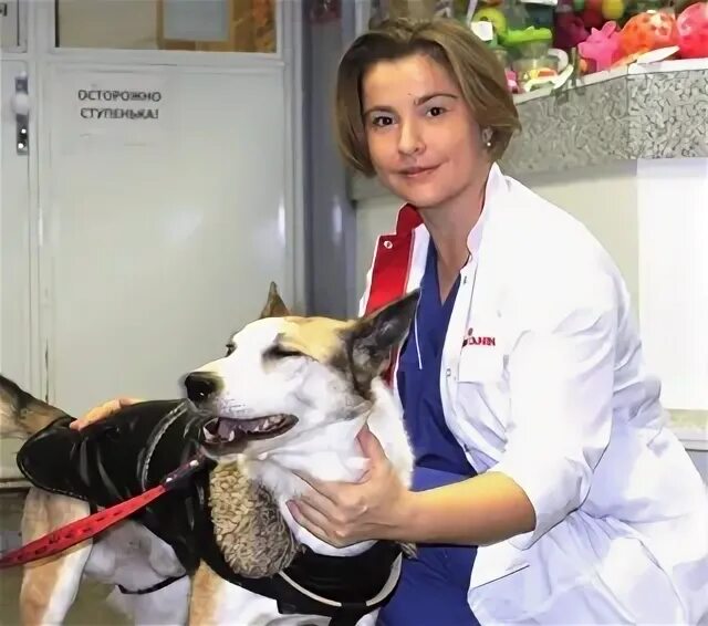 Ветклиника друг пермь. Ветклиника россошь телефон. Ветклиника логотип. Багира новороссийск ветклиника. Ветклиника россошь телефон.