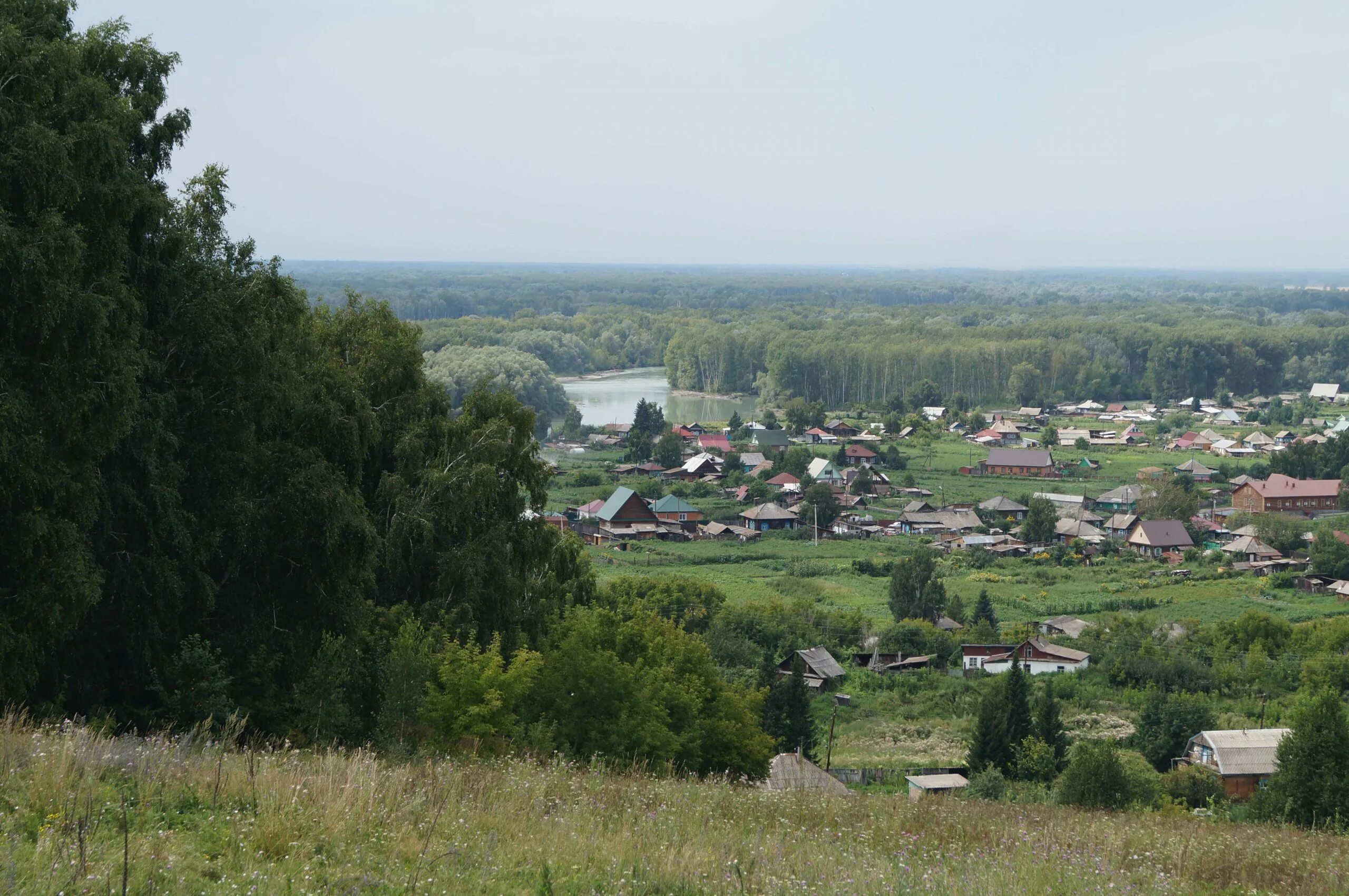 Сростки Алтайский край. Село Сростки Алтайский край. Сростки Бийский район. Алтайский край Бийский район село Сростки. Сростки погода бийского алтайского края