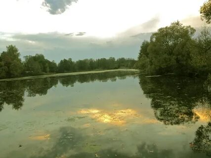 Беляево чеховская