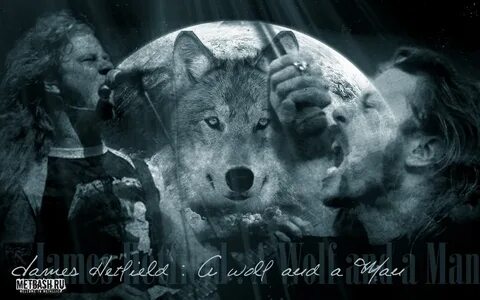 Metallica wolf
