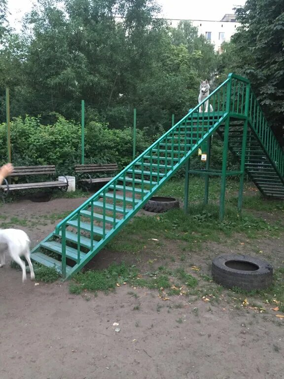Инвентарь для собачьей площадки. Тренажеры для дрессировки собак. Площадка для выгула собак. Карбышева 50 собачья площадка. Фото собачьих площадок.