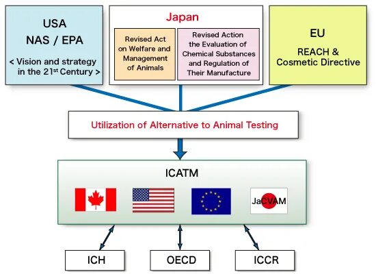 Alternative testing. Alternatives to animal testing. альтернативные методы тестирования на животных. alternatives for animal testing. testing cosmetics on animals.