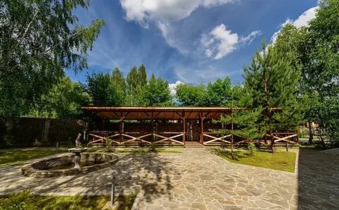 Аристократ белоозерский