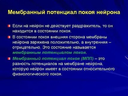 Потенциалы нейронов