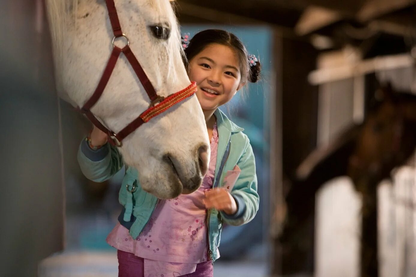 Лошадь 2007. Лошадь рафиан раффиан резвая. Фильм где лошадь санта клауса 2007. Лошади для скачек. Лошадь на скачках.