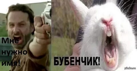 Им нужно открыть