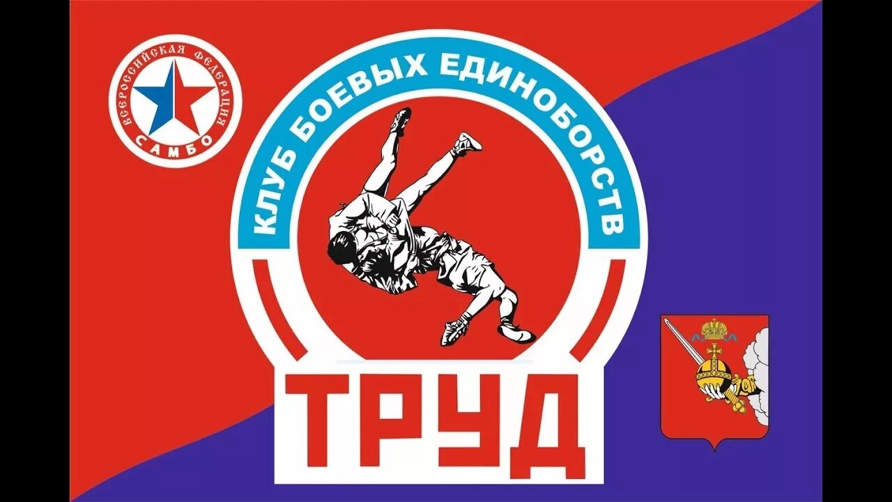 Клуб единоборств вывеска. Каратэ киокушинкай эстетика. Тамэсивари киокушинкай. Каратэ шотокан кумитэ. Эмблемы клубов единоборств.