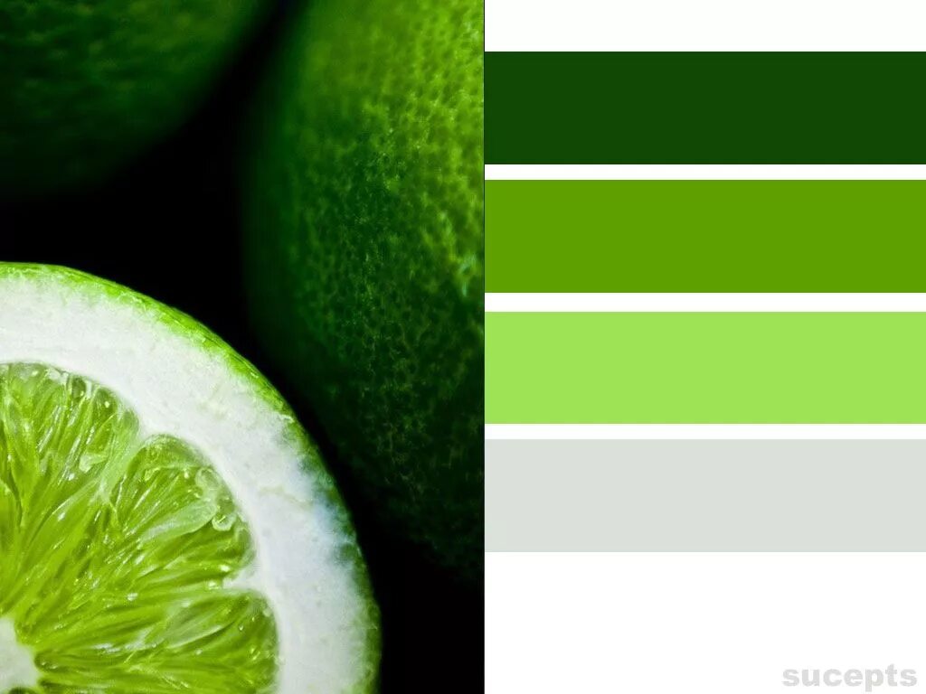 Lime Verde лайм зеленый. Салатовый и лаймовый. Лаймовый цвет палитра.