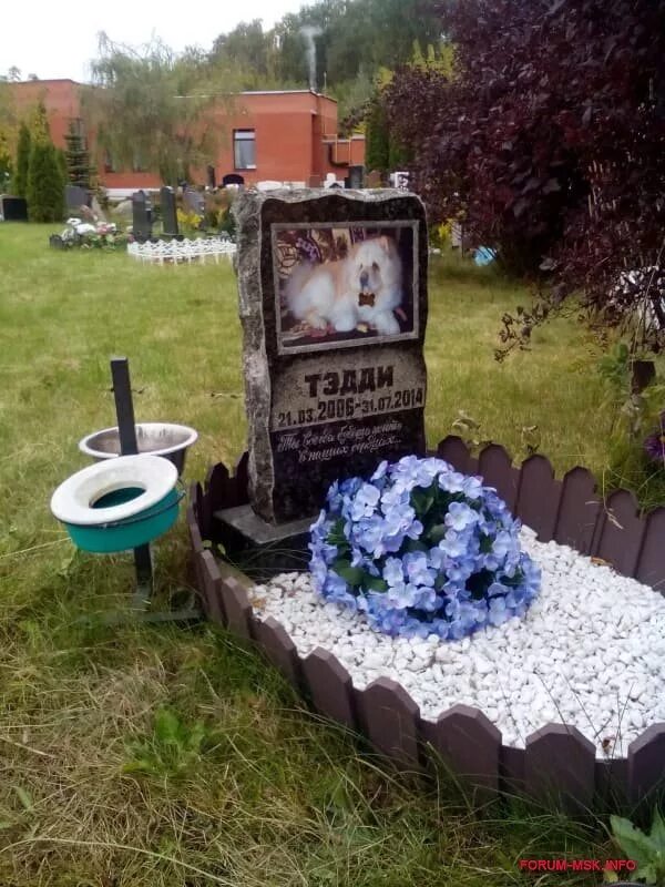 Кладбище домашних животных * ДокДокДок Эксп