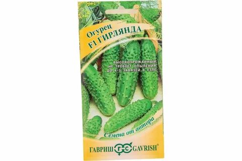 Сорт огурцов сибирская гирлянда отзывы