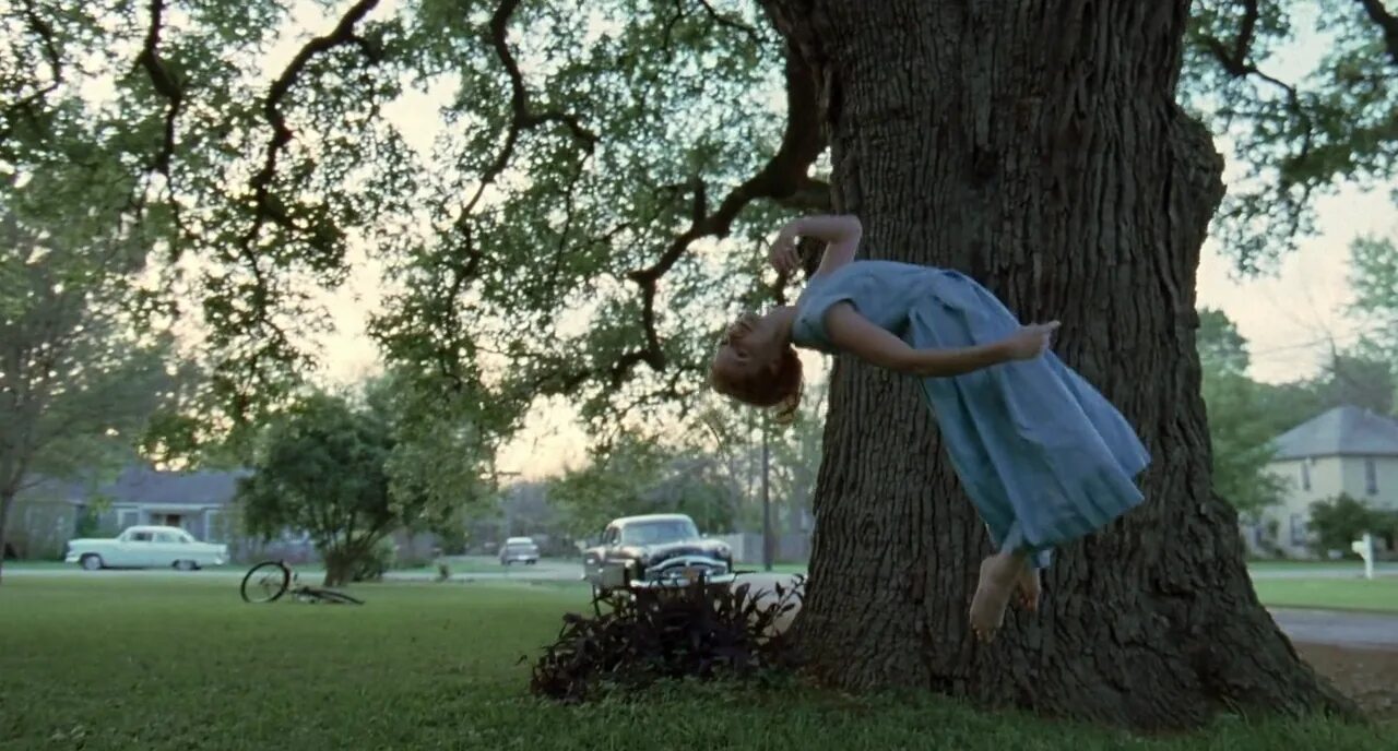 Tree jumping. Терренс малик древо жизни. «древо жизни» (2011), терренс малик. древо жизни / the tree of life (2011). древо жизни терренса малика.