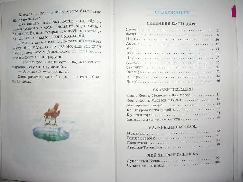 Бианки зимняя сказка несказка. Бианки в. &quot;сказки-несказки&quot;.