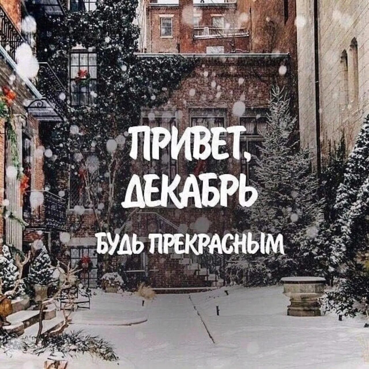 December first. Привет декабрь. Привет зима. Зимние цитаты. Цитаты про декабрь.