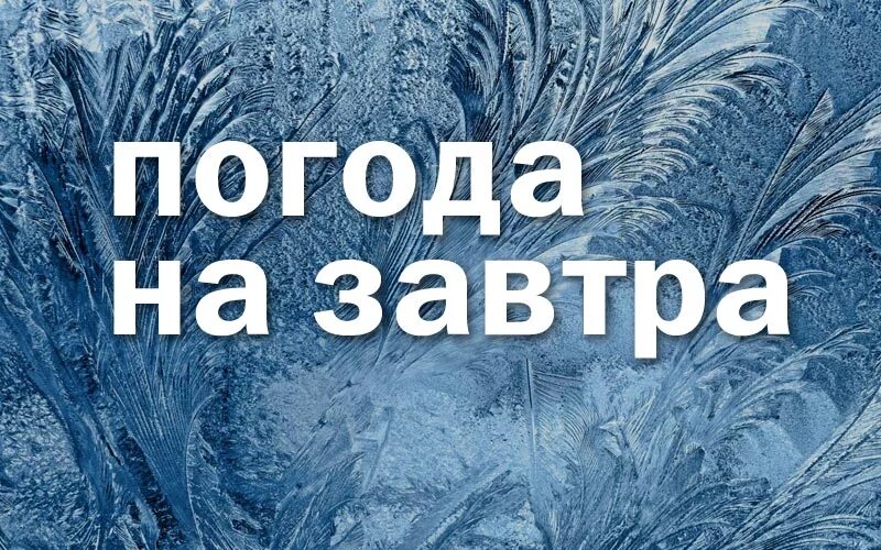 Кировск ленинградская прогноз погоды на неделю